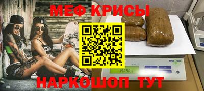 индика Камышлов