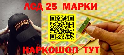 индика Камышлов
