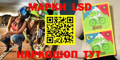 индика Камышлов