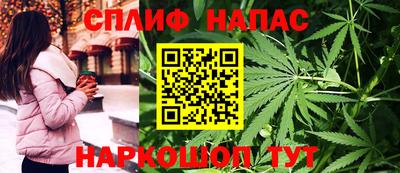 PSILOCYBIN Канаш