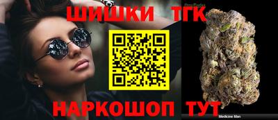 индика Камышлов