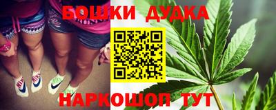индика Камышлов