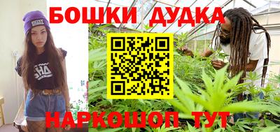 индика Камышлов