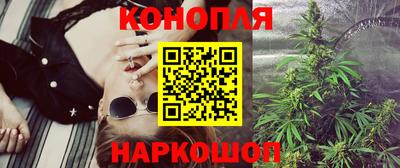 индика Камышлов
