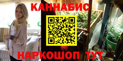 индика Камышлов