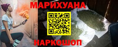 индика Камышлов