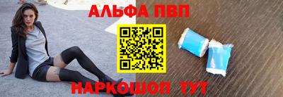 индика Камышлов