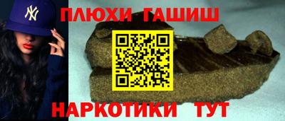индика Камышлов