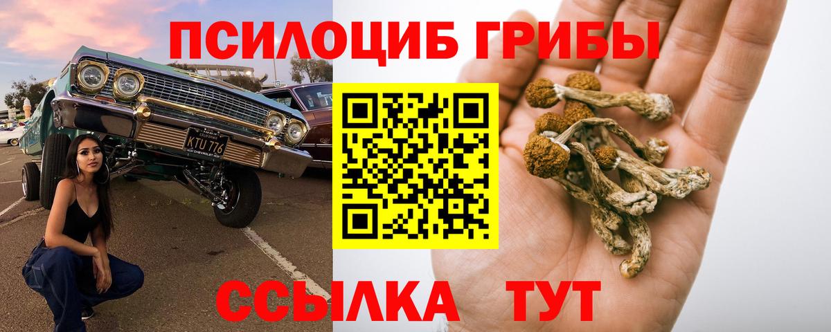 Псилоцибиновые грибы MAGIC MUSHROOMS Тула